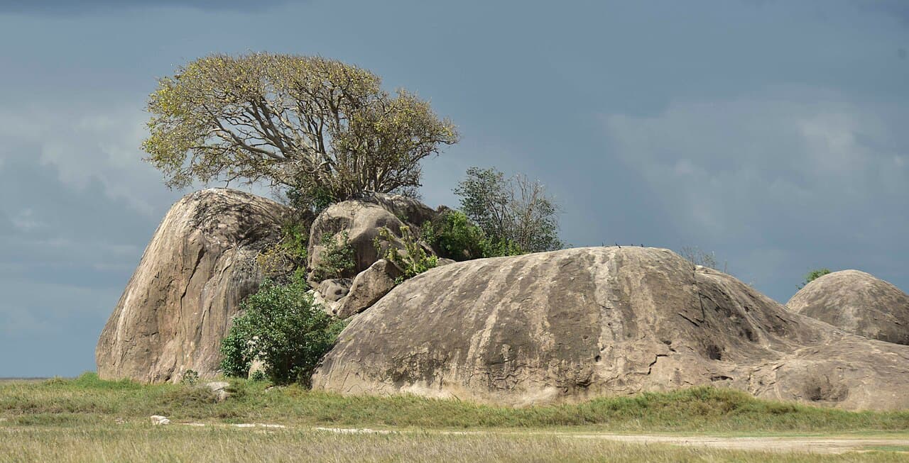 Serengeti, Ngorongoro and Zanzibar, Arusha, Tanzanie